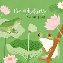 Geïllustreerde beterschapskaart met kikkers