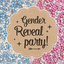 Gender reveal party uitnodiging met roze en blauwe muisjes