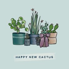 Gezellige felicitatiekaart met allemaal cactussen op een rij