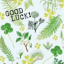 Good Luck kaart botanisch met klavertjes vier