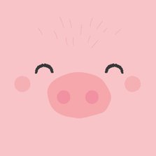 Grappig felicitatiekaartje met het gezicht van een varken