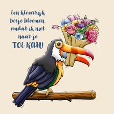 Grappige beterschapskaart met vogel, toekan en bloemen
