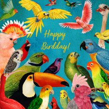 Happy Birdday! kleurrijke vogel felicitatiekaart 