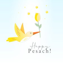 Happy Pesach paaskaart met geel vogeltje, tulp en sterren