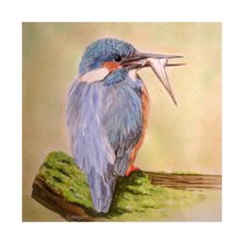 ijsvogel met visje - kunstkaart