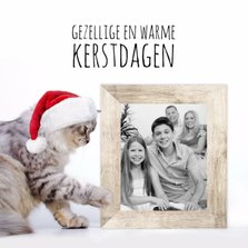 Kat, kerstmuts en fotolijst-isf