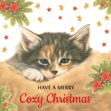 Kattenkerstkaart Have a Cozy Christmas