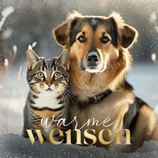 Kerstgroet met persoonlijke foto van hond en kat sneeuw