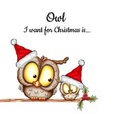 Kerstkaart 'owl I want for Christmas'