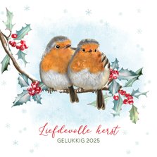 Kerstkaart roodborstjes op hulst rode bessen