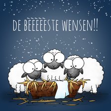 Kerstkaart schapen bij de kribbe - De bèèèèèste wensen!