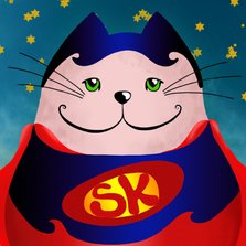 Kinderkaart kat superman