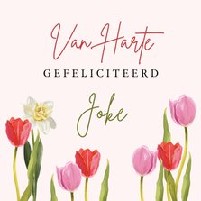 Kleurrijke felicitatiekaart tulpen narcis en naam