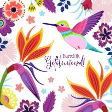 Kleurrijke kolibrie verjaardagskaart