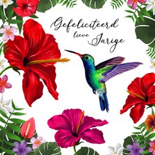 Kleurrijke verjaardagskaart kolibrie