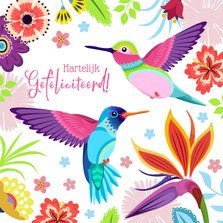Kleurrijke vogels verjaardagskaart