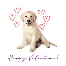 KNGF valentijnskaart met hond en hartjes