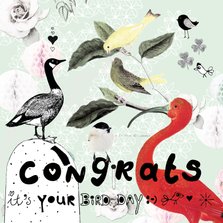 Leuke verjaardagskaart 'It's your birdday!' Met vogels