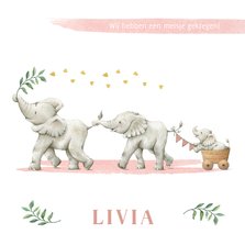 Lief en vrolijk geboortekaartje meisje met olifantjes