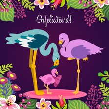 Lief felicitatiekaartje met papa, mama en baby flamingo