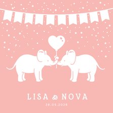 Lief geboortekaartje meisjes tweeling met 2 olifantjes 