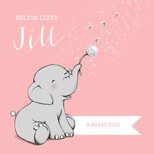 Lief geboortekaartje met olifantje en wensbloem meisje
