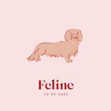 Lief geboortekaartje met teckel hondje in roze
