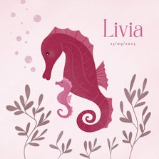 Lief geboortekaartje met zeepaardjes voor een zusje roze