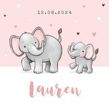 Lief geboortekaartje olifantjes meisje zusje hartjes roze