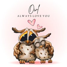 Liefde kaart Owl always love you