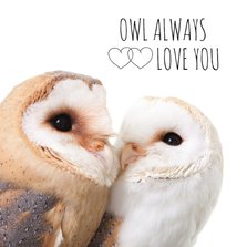 Liefde - Owl always love you uiltjes