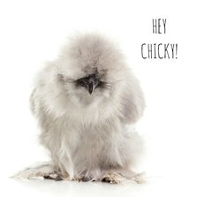 Liefdekaart - Hey Chicky