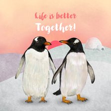 Liefdeskoppel Pinguins