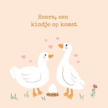 Lieve felicitatiekaart kindje op komst met gansjes en ei