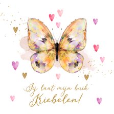 Lieve valentijnskaart vlinders in de buik watercolor hartjes