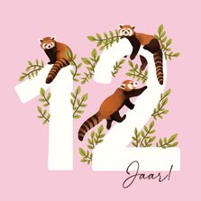 Lieve verjaardagskaart 12 jaar met rode panda's