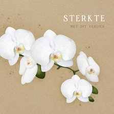 Moderne condoleancekaart met witte orchidee 
