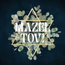 Moderne religiekaart Mazel tov met ster en takjes