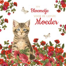 Moederdagkaart met kitten in rood bloemenveld