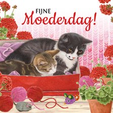 Moederdagkaart met moederpoes en kitten in schoenendoos