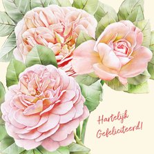 Mooie bloemenkaart met 3 perzik-kleurige rozen