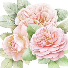 Mooie bloemenkaart met 3 roze rozen