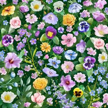 Mooie bloemenkaart met diverse bloemen zoals rozen