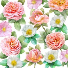 Mooie bloemenkaart met diverse rozen om de groeten te doen