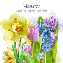 Mooie bloemenkaart narcissen en hyacinten met lentegroet