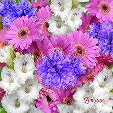 Mooie zomaar kaart met witte gladiolen en andere bloemen