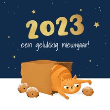 Nieuwjaarskaart kat poes sterren oliebollen illustratie 2023