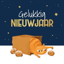 Nieuwjaarskaart kat poes sterren oliebollen illustratie