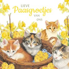 Paaskaart Kittens in het eiermandje