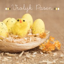 Paaskaart met nest kuikens en gele eieren
